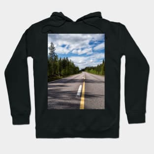 On the (Arctic) Road Again Hoodie